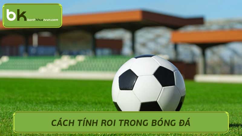 Cách tính ROI trong bóng đá Từ cơ bản đến nâng cao